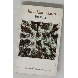 En babia - Julio Llamazares